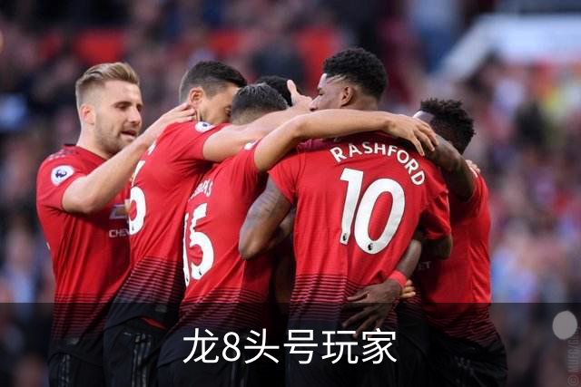 龙8头号玩家公司简介配图